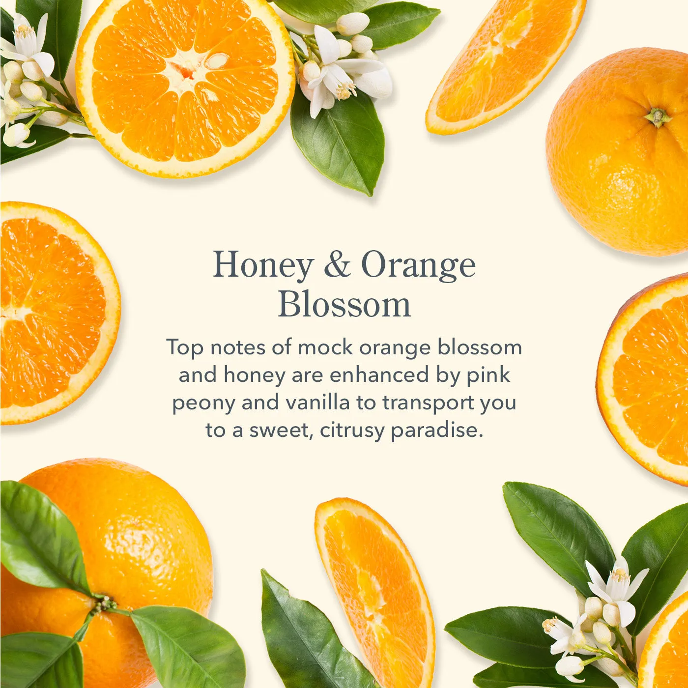 Honey & Orange Blossom 3-Pack Of Lip Balms