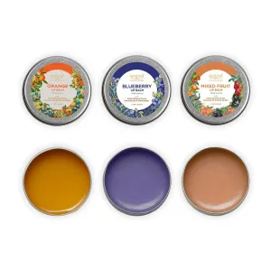 Lip Balms Combo- Natural Orange, Blueberry and Mix Fruit Lip Balms, 7gms Each