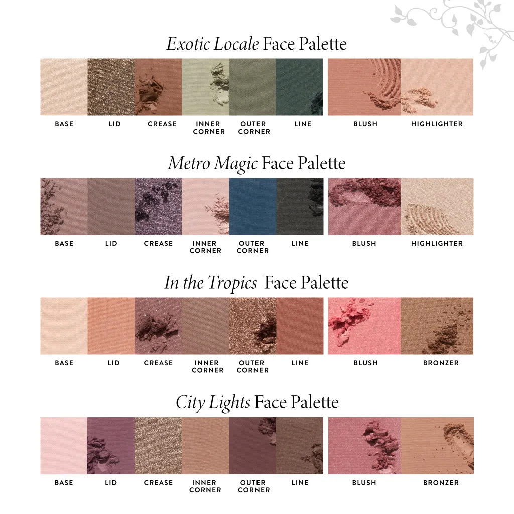 Party in a Palette Ready to Jetset! 4 Face Palettes